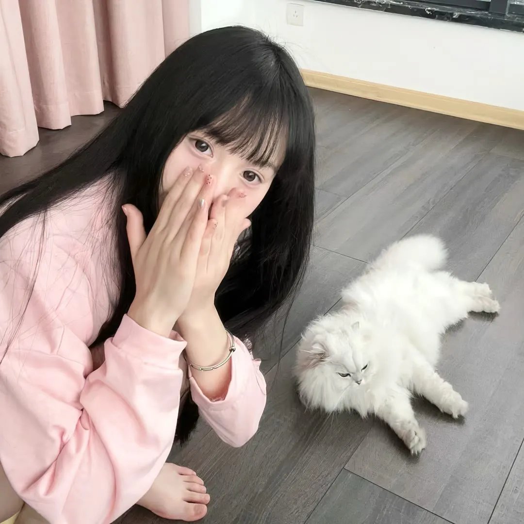 七合圣石战记：银月之翼